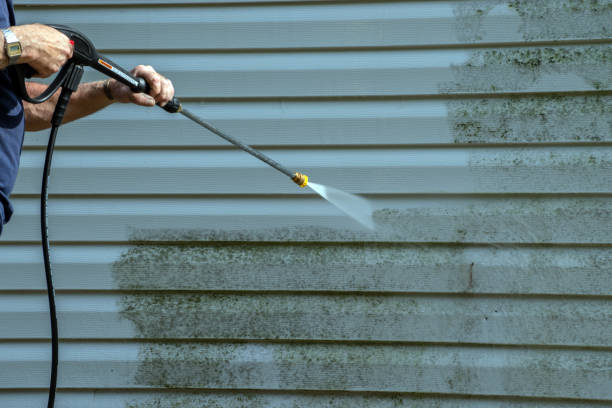 Best Gutter Cleaning  in Wheaton, MN